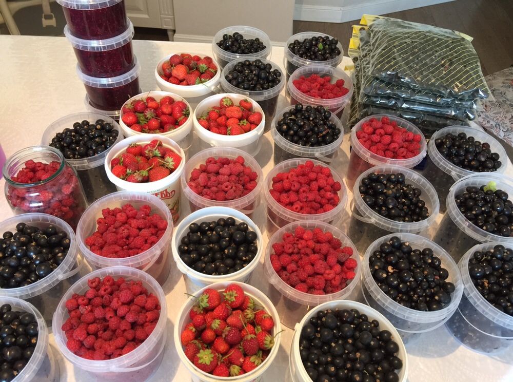 Варенье из домашних ягод, малина, клубника, вишня, смородина, облепиха