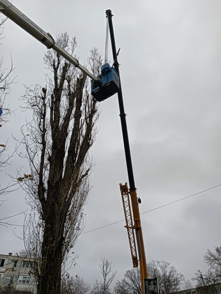 Defrișării/Curățare Grădini/Tăiere Arbori cu alpiniști Rapid