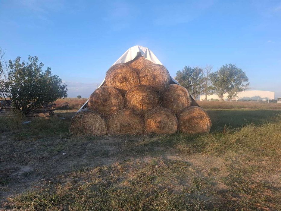 Продавам бали овес