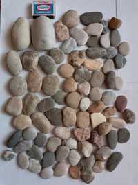 Камни и ракушки для аквариума и декора из Турции