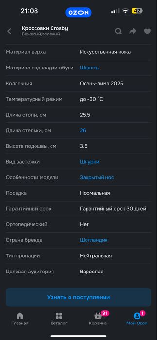 Зимняя обувь, ботинки