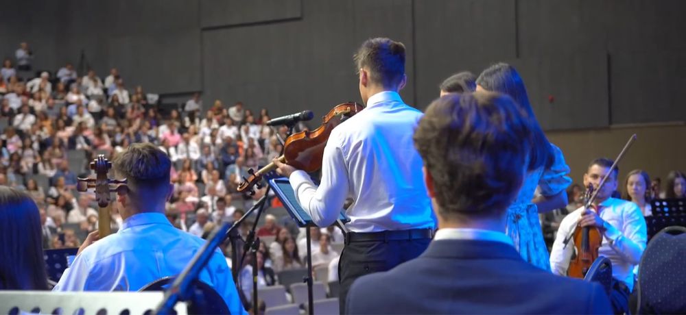 Meditatii Chitară/Vioară-Lecții pentru începători și intermediari