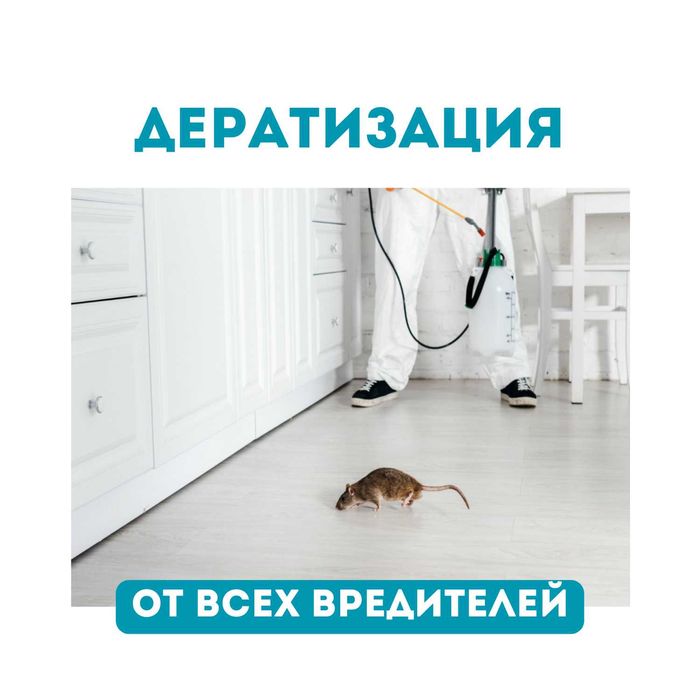 Дератизация грызунов, мышей, дезинсекция насекомых, дезинфекция