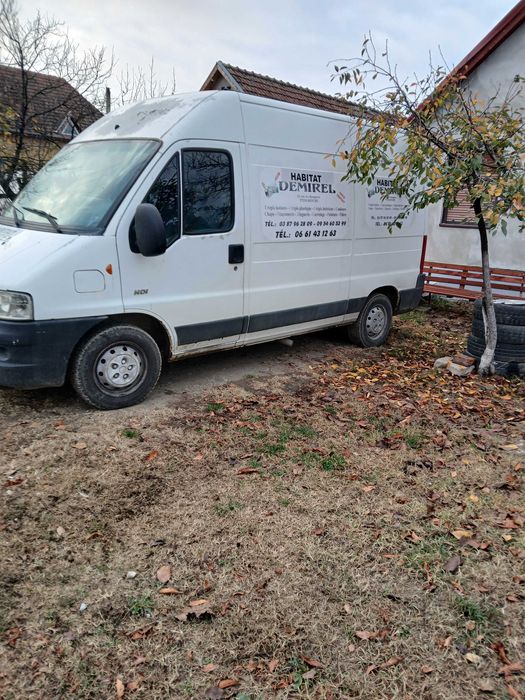 Vand pegout boxer duba