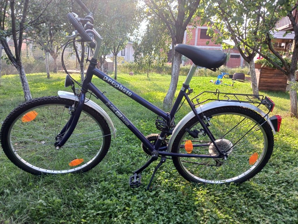 Bicicleta dama .