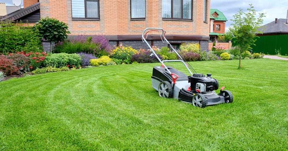 Amenajări Grădini și Spații Verzi | Gazon, Irigații, Toaletări, Plante