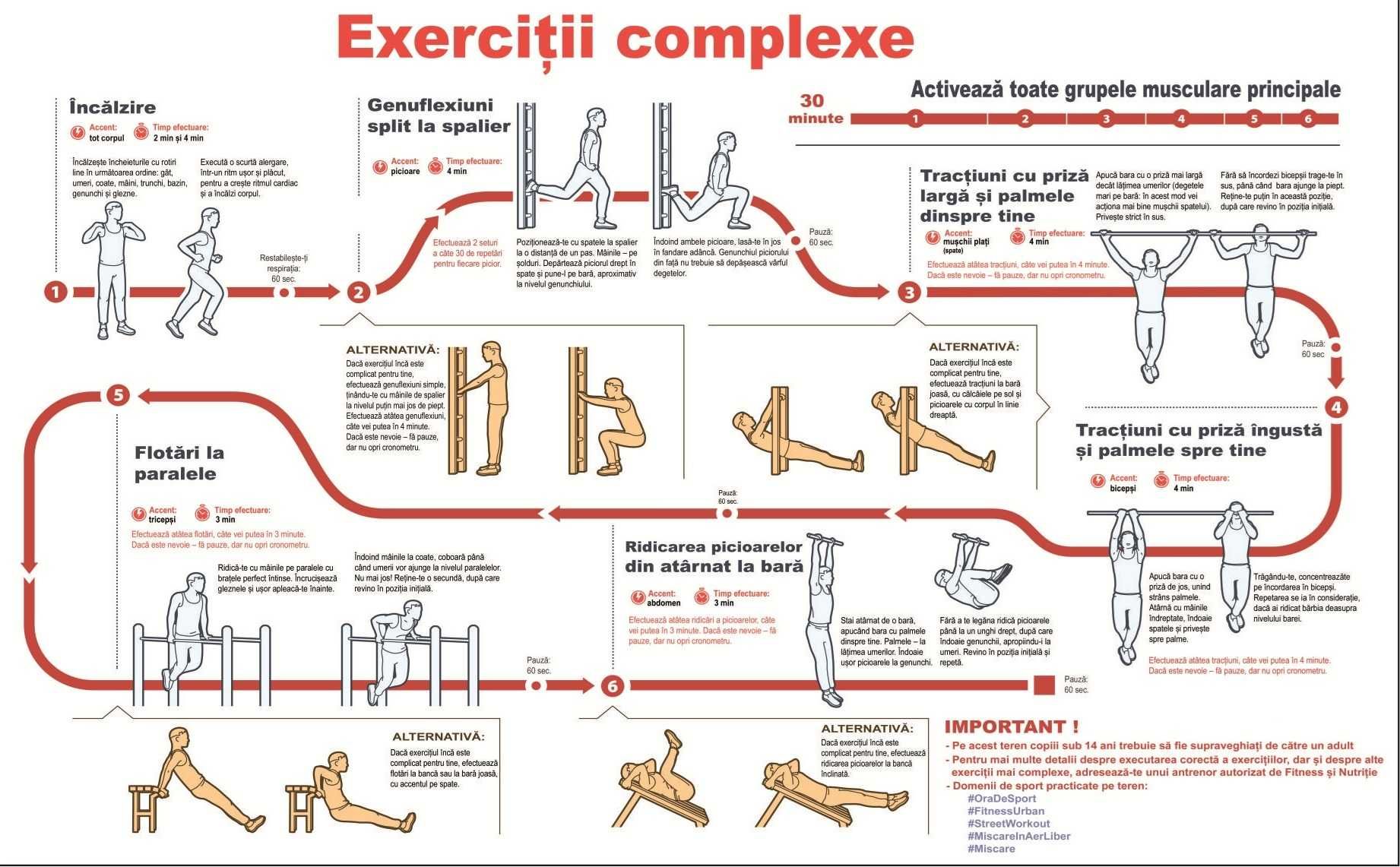 Bare tracțiuni - echipament workout CALISTHEQBAR (România)