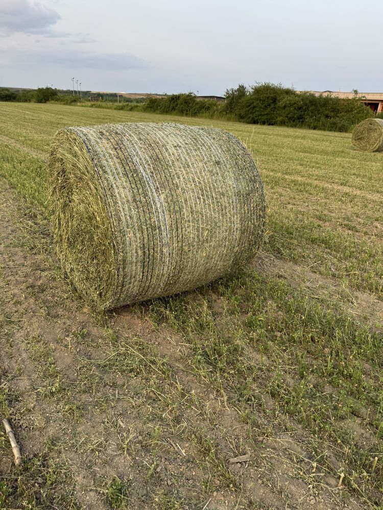 Vând baloți de lucerna. 350-400kg un balot si baloti de fan
