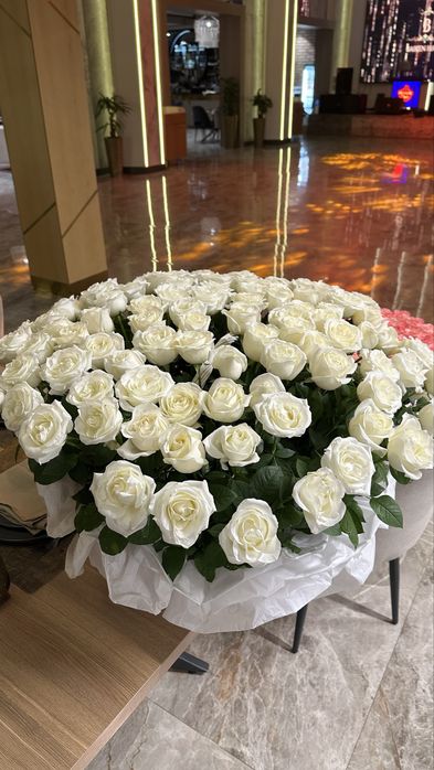 Гул свежий 151 роза