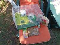Vând cușcă hamster + accesorii și mâncare incluse
