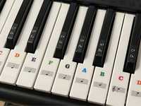 Set stikere pentru pian / clape