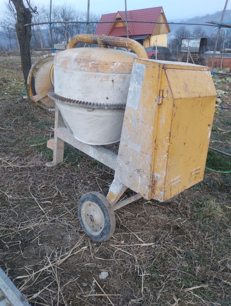 Freza maschio meritano