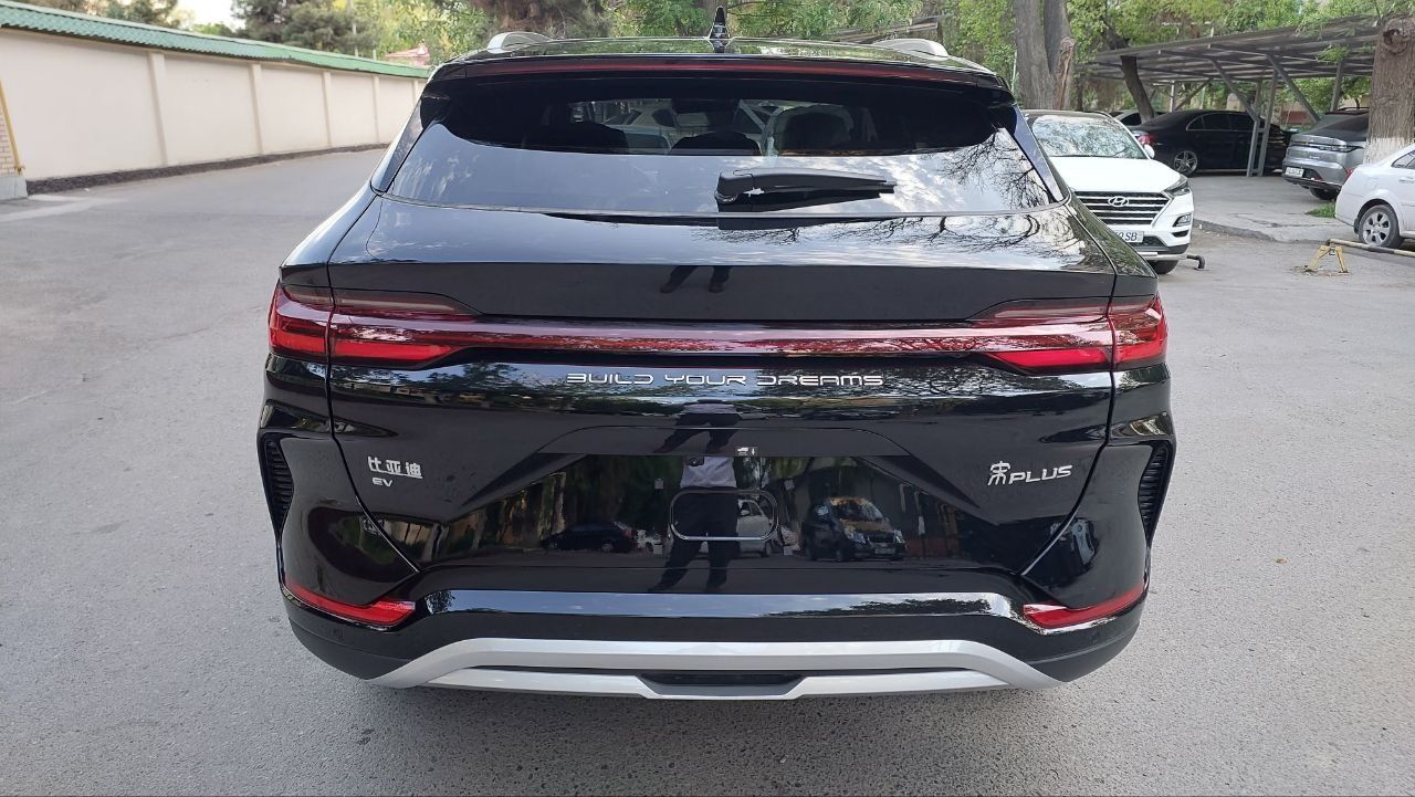 BYD song champion honor