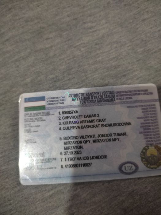 Shunaqa rang kerak bitta bulib yuriyman deydigaanlarga Damas mashina e