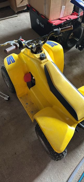 Atv copii Quadzilla buzz
