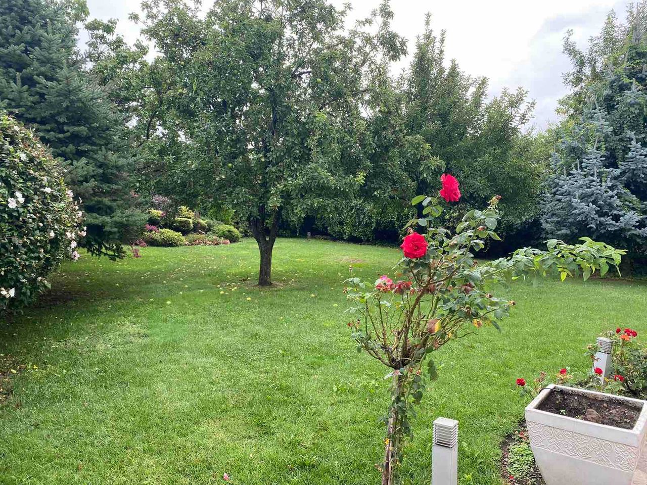 Продава се Къща в Баня - 390 кв.м за 744 €/кв.м - Снимка #2