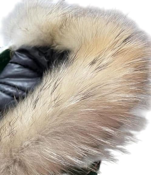 Зимно Яке Алесса