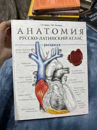 Продам анатомия русско-латинский атлас раскраска
