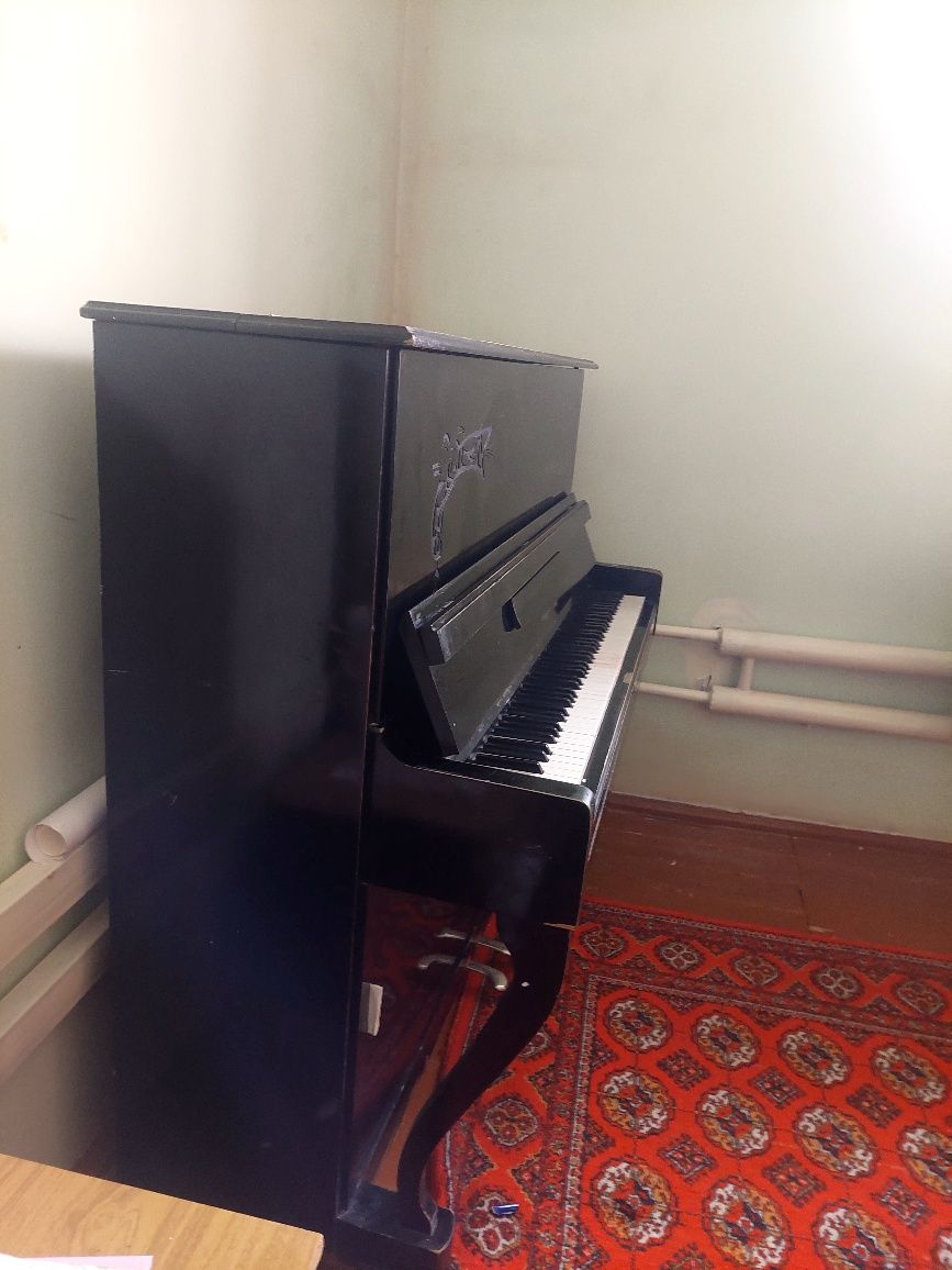 Fortepiano Rostov Don