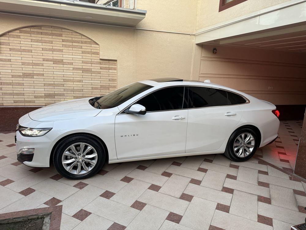 Malibu Premier - Pearl White
