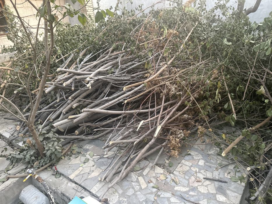 Дрова фруктовых деревьев, Утин меваники