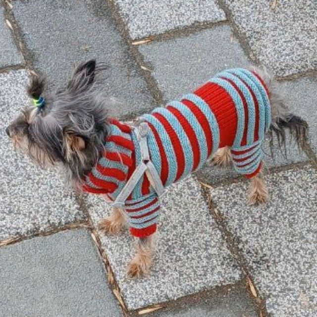 Вязаная одежда для собак и кошек,одежда для собак