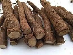 Paulownia SHANTONG PREMIUM: Butasi, Seminte, Drajoni