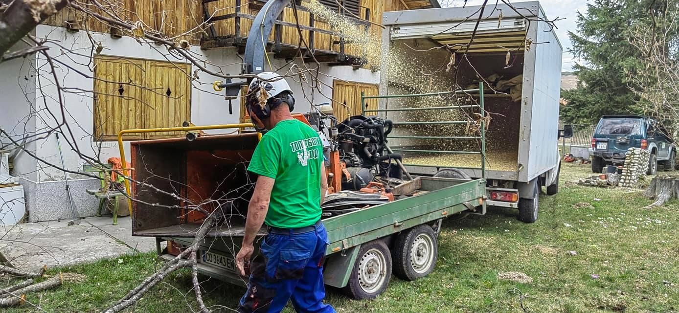 Рязане на  опасни дървета с вишка или по алпийски способ