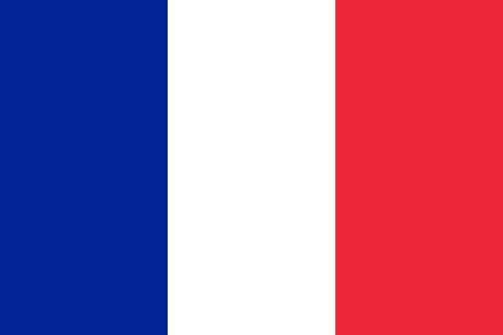 Meditatii la limba franceza pentru copii!