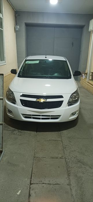 Coblt sotiladi 2025 26 midnayt msm