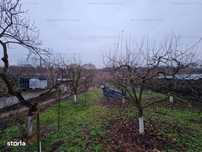 Nou | Casa la Lacul Snagov / Teren 2600 mp / Zona Snagov-Tancabes