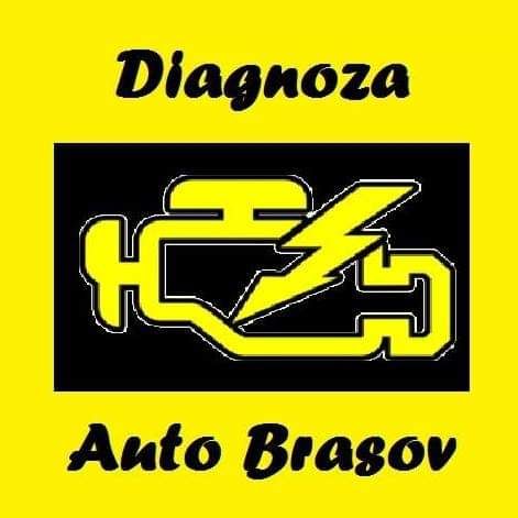 Electrician auto diagnoza auto instalare navigatii soft putere