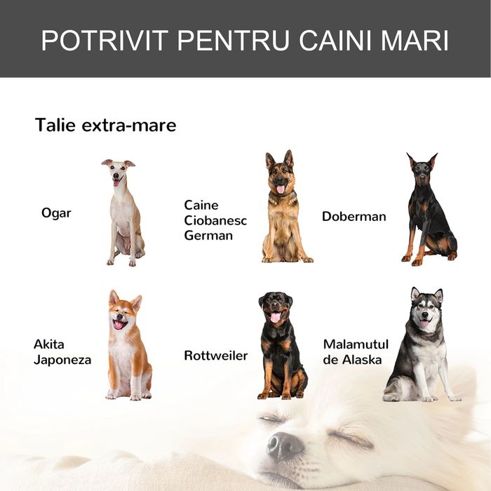 CUȘCĂ Câini Metal