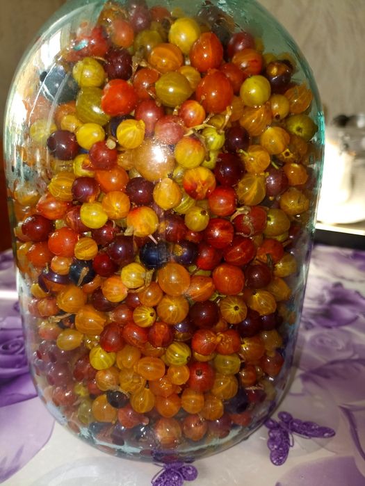 Смородина 3 л / 5000тг