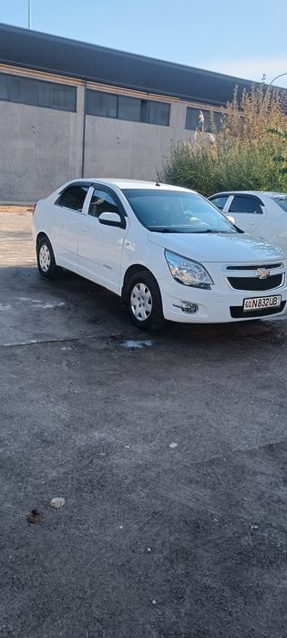 Kobalt bir qoʻl toza