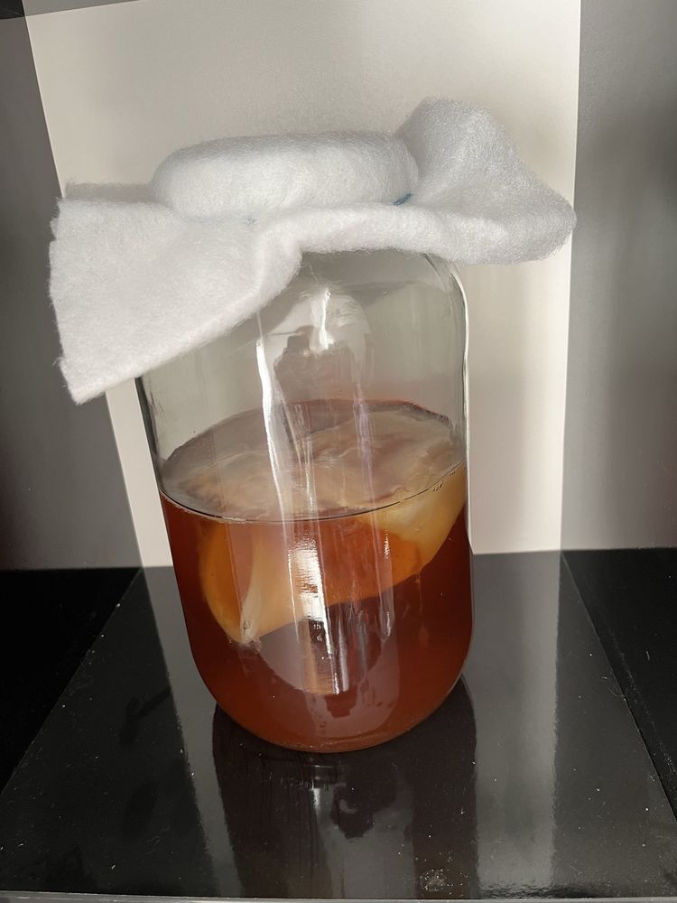 Kombucha scoby + ceai starter