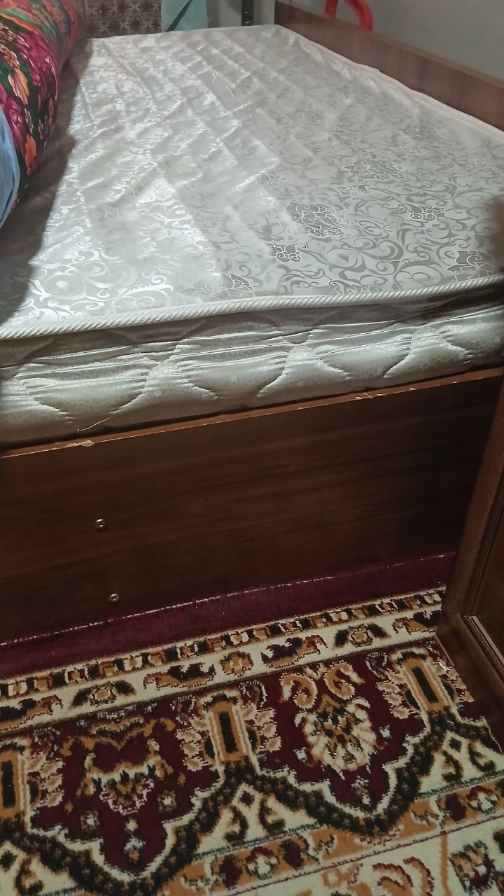 Двухсальный сотилади