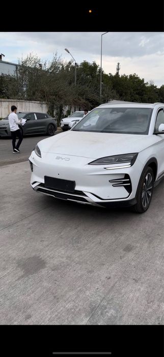 Byd champion smart 2025/2025