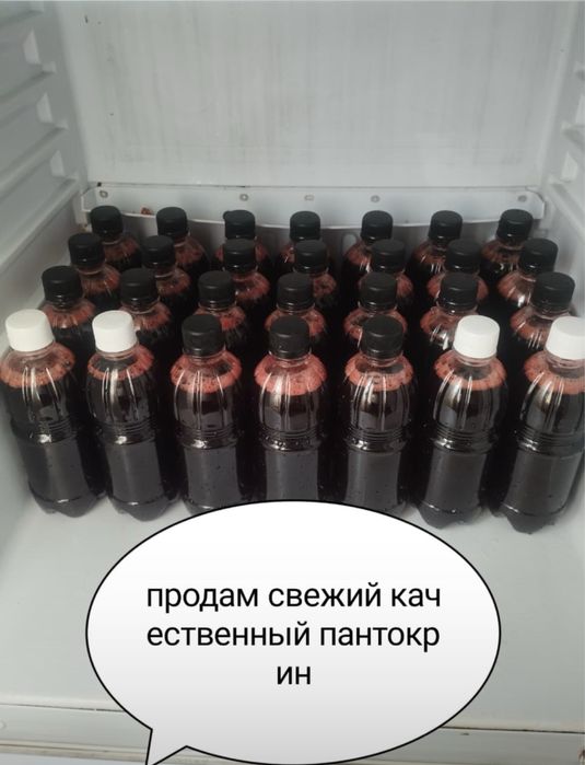 Понтакрин ВКО Катон-Карагай