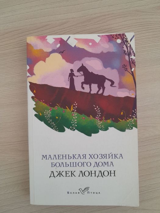 Книга "Маленькая хозяйка большого дома".