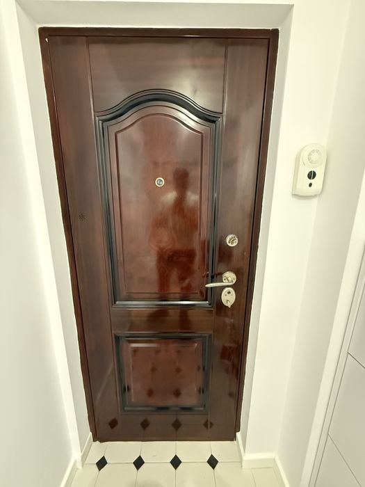 Vand usa metalica de apartament 205x90 cm