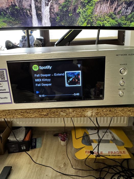 Streamer dac pioneer NP01