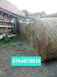lucerna c2.Rotunzi min.40 Sau Fan.Drept.500.Transp.Inclus
In toata tar
