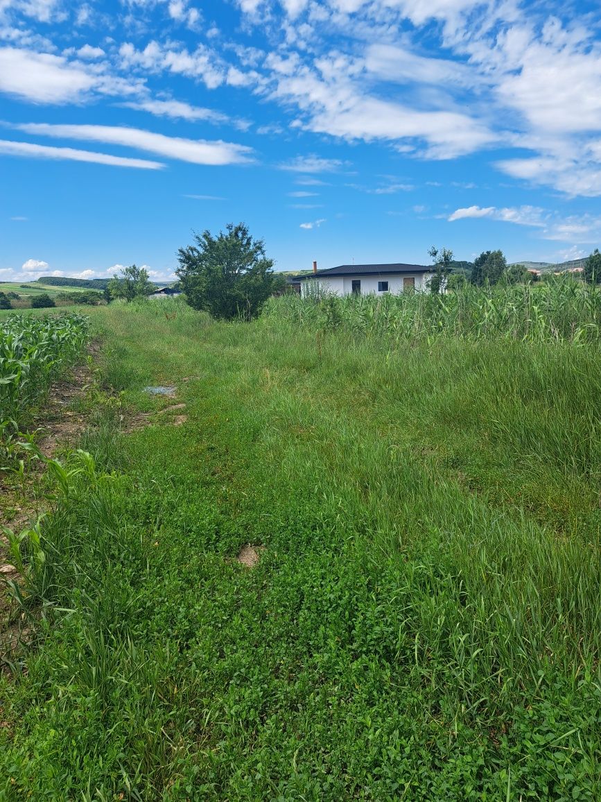 Teren intravilan Iclod 6800 mp