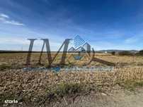 Teren agricol extravilan de 5.000mp