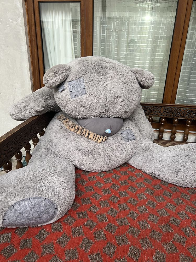 Katta teddy Ayiq
