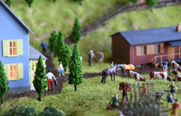 Diorama ho trenulet electric