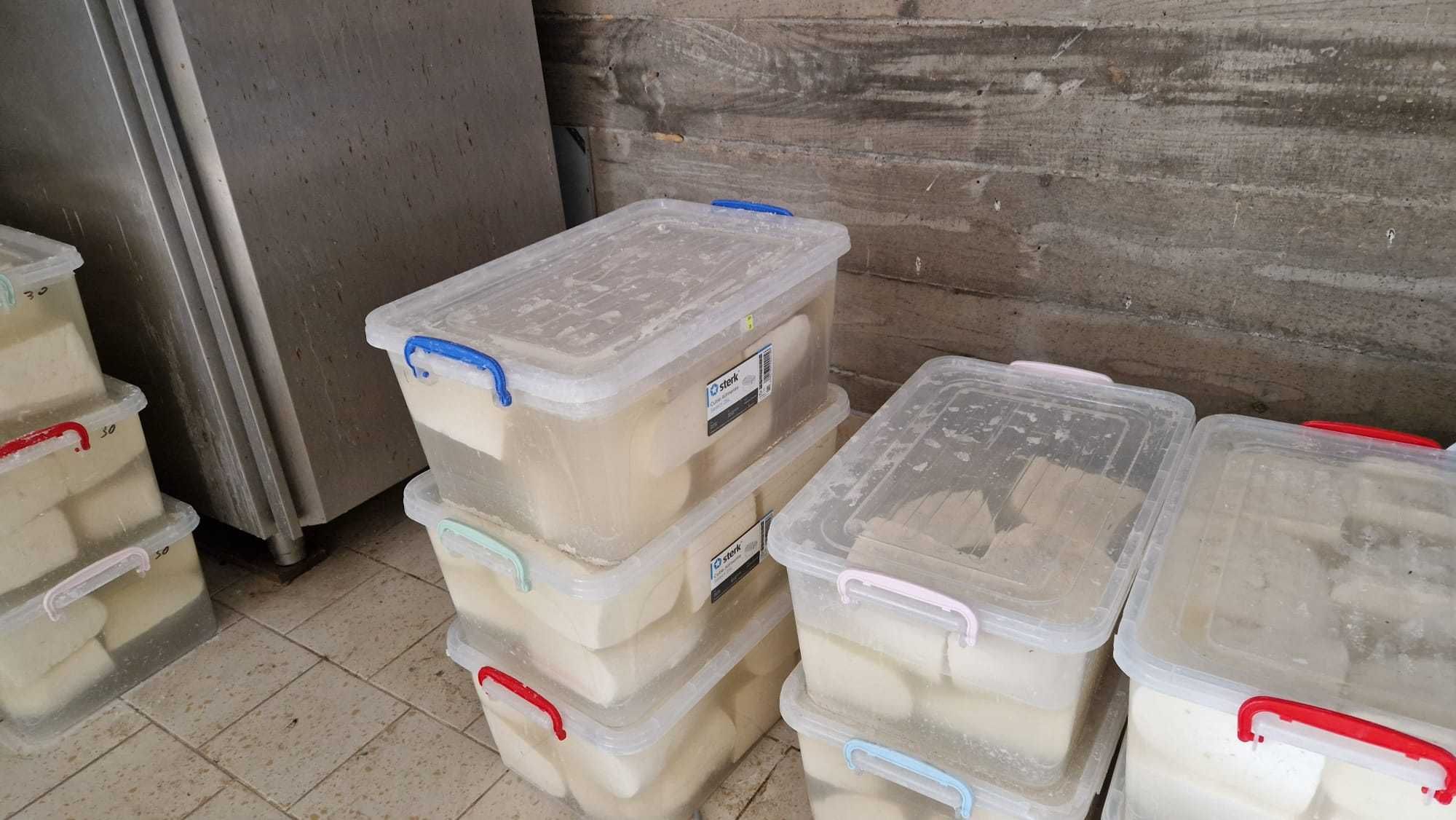 Vand  en gros branza   de vaca maturata