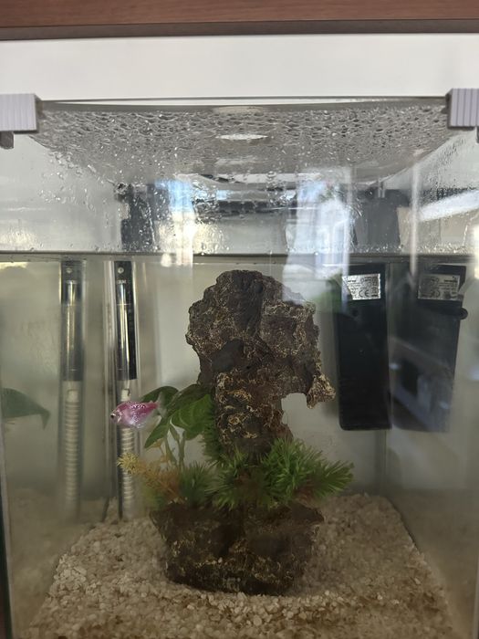 Acvariu sticla cu capac 18 litri