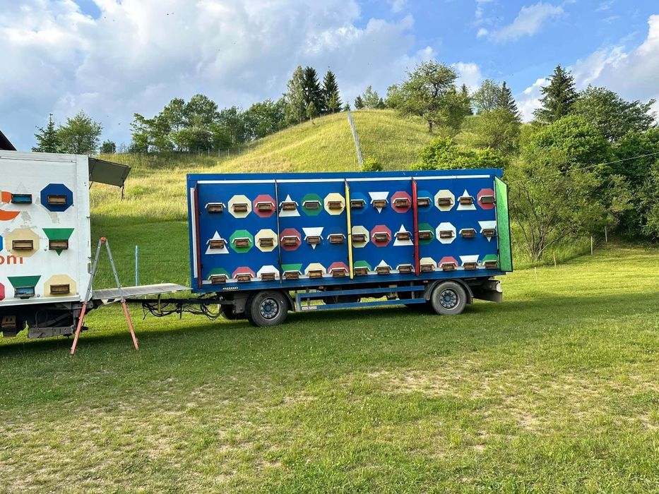 Remorca apicolă 18t